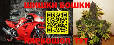 прущие крисы Дубна