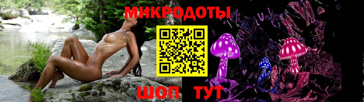Псилоцибиновые грибы MAGIC MUSHROOMS  Вход с VPN  Нерюнгри  Галлюциногенные грибы Cubensis 